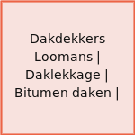 Dakdekkers Loomans | Daklekkage | Bitumen daken |